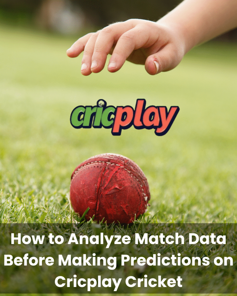 Cricplay Cricket